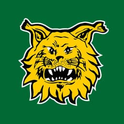 Tampereen Ilves