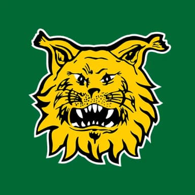 Tampereen Ilves