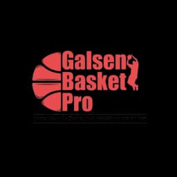 Galsen Basket Pro