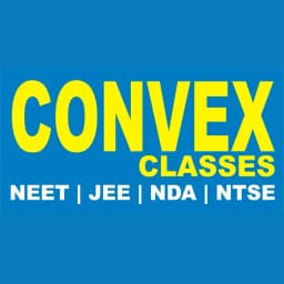 Convex Classes
