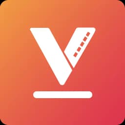 Video Downloader