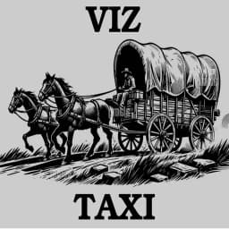 VIZ Driver