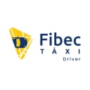 Fibec Taxi Driver