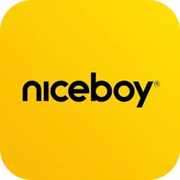 Niceboy WATCH