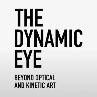 The Dynamic Eye