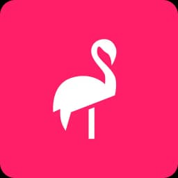 Flamingo Scooters