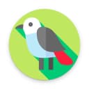 AI Bird Identifier