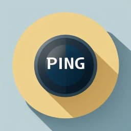 Ping
