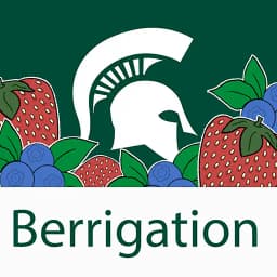 Berrigation