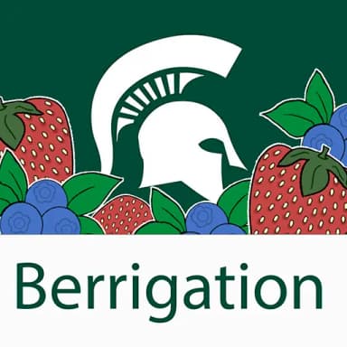 Berrigation