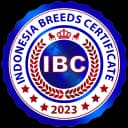 IBC