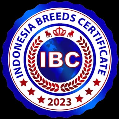 IBC
