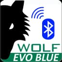 WolfEvoBlue