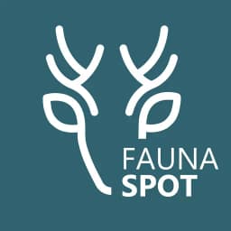 FaunaSpot