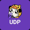 UDP Client