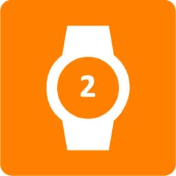 GTR 2 - Watch Faces