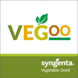 VEGOO