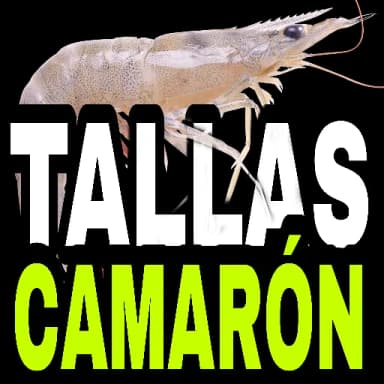 Tallas Camarón