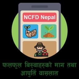 NCFD Nepal