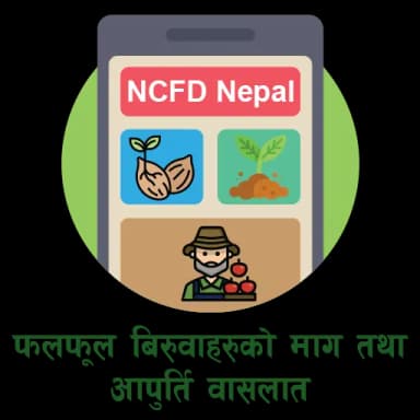 NCFD Nepal