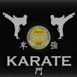 Learn karate