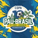 Copa Pau Brasil