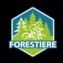 Forestlive