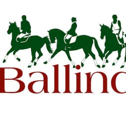 Ballindenisk