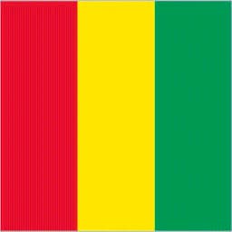 Guinea Facts