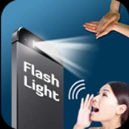 Flash Light 2024