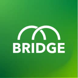 BridgeTalk