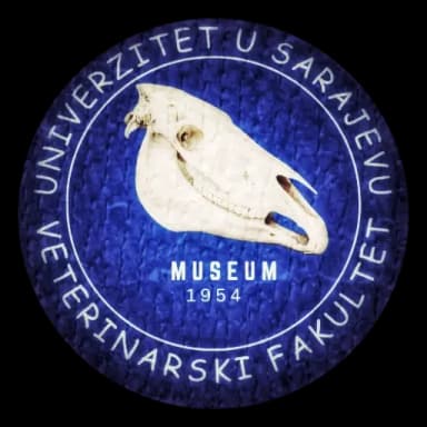 vfs-museum