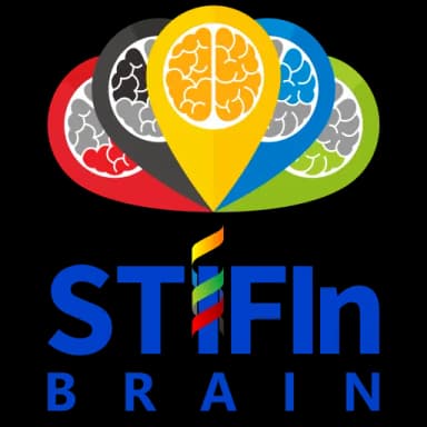 STIFIn Brain