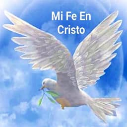 Mi Fe En Cristo