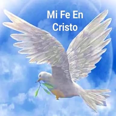 Mi Fe En Cristo