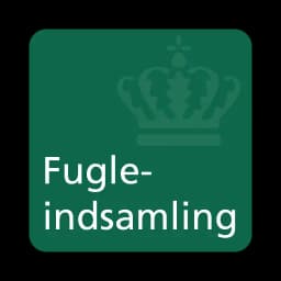 FVST Indsamling