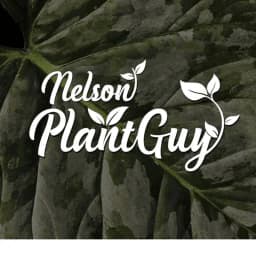 Nelson Plant Guy