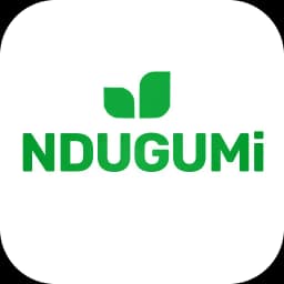Ndugumi