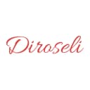 DIROSELI S.L.