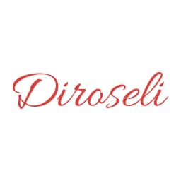 DIROSELI S.L.
