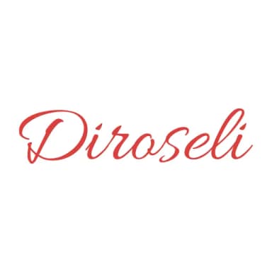 DIROSELI S.L.