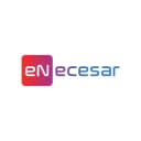 eNecesar