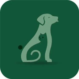 PET WORLD - 펫월드