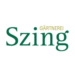 Szing