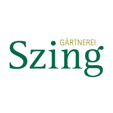 Szing