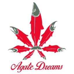 Agate Dreams