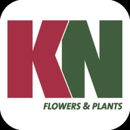 KN Flowers