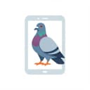 Pigeon Project