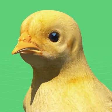 Decision Chicken