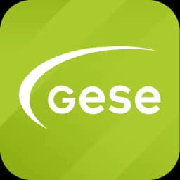 GeSe Now